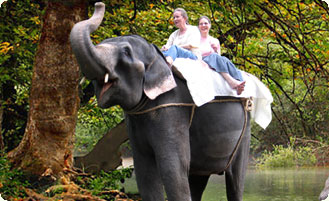 Konni Eco Tourism - Elephant camp